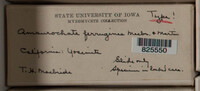 Image Associated With the Occurence